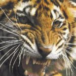 Profile picture of Stan Skarbek