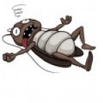 Profile picture of Roach Casino