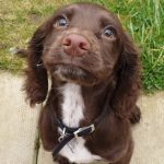 Profile picture of Elliot